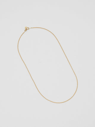 Wolf Circus Elongated Curb Chain in Gold