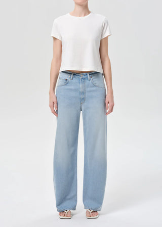 Agolde Low Curve Flyweight Jean - Memory