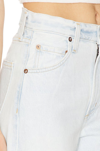 Agolde Low Curve Jean in Flourish