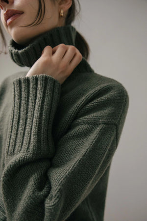 Carolyn Ferreira Jordan Funnel Pullover Sweater