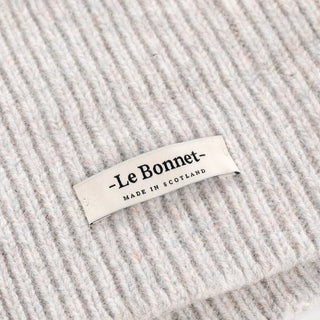 Le Bonnet Knitted Scarf in Iridescent