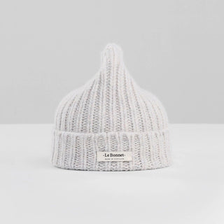 Le Bonnet Le Logo Beanie in Iridescent