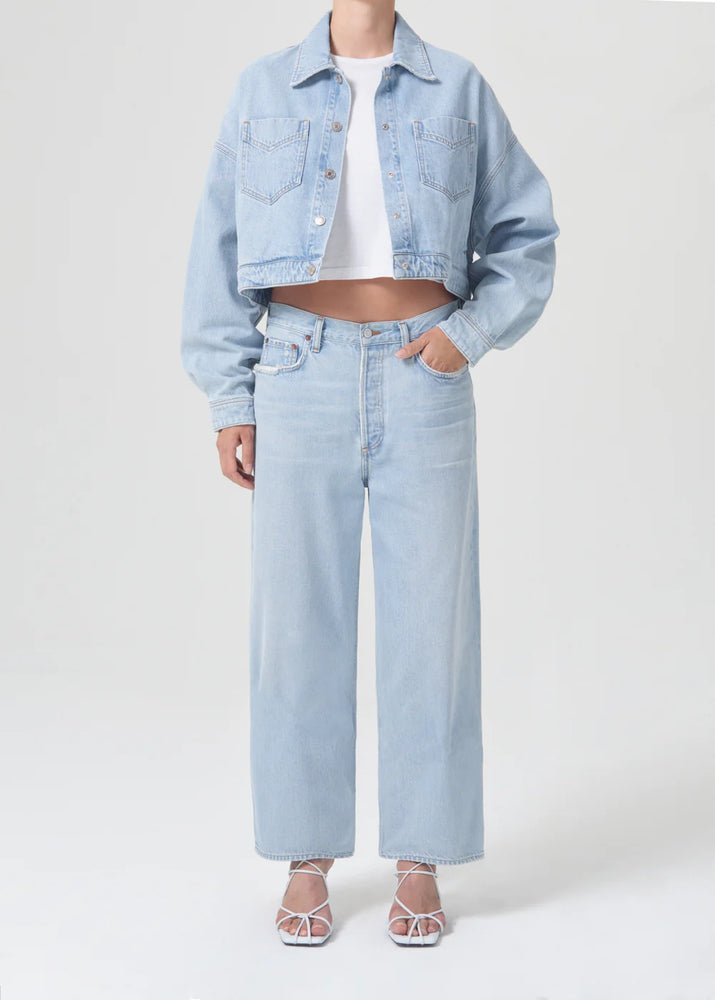 Agolde Low Slung Baggy Jean